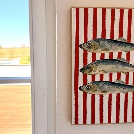 Findling Ruegen *