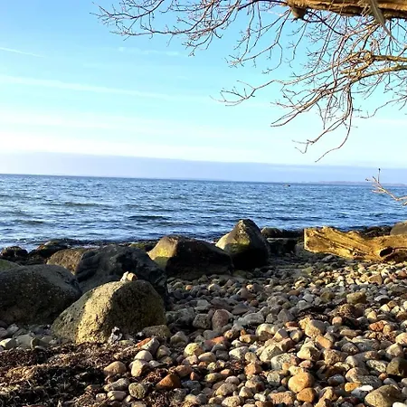 Findling Ruegen *